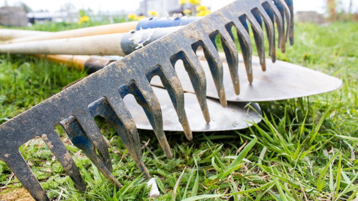 6 апреля павлоградцев приглашают на субботник