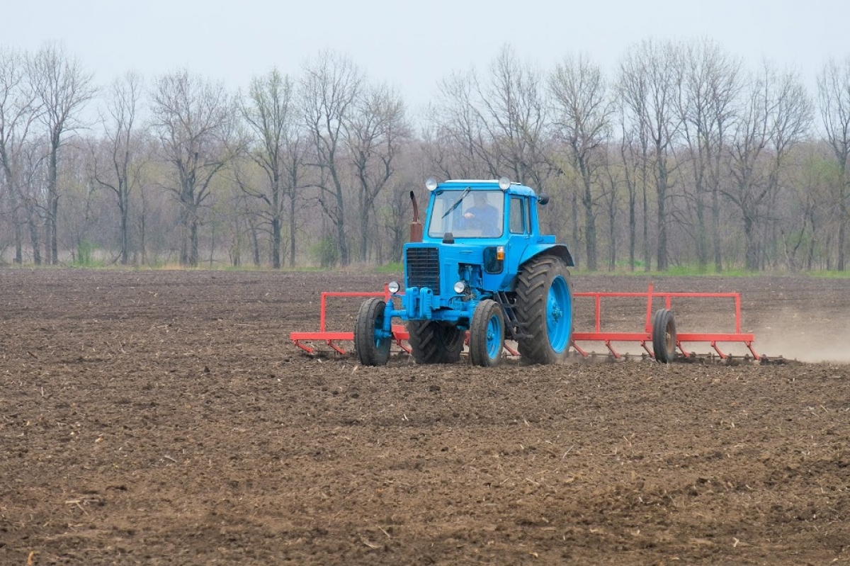 На Днепропетровщине уже посеяли 80% ранних яровых зерновых