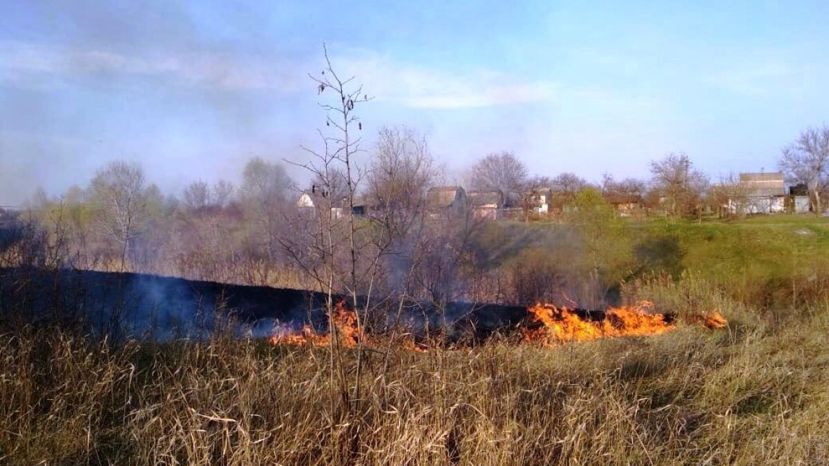 В Павлоградском районе выгорело 4 гектара сухой травы - спасатели