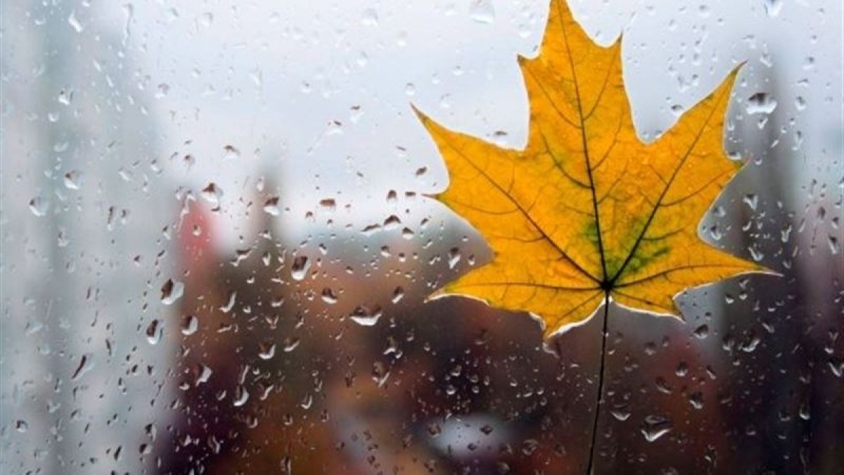 В Украине дожди и станет прохладнее
