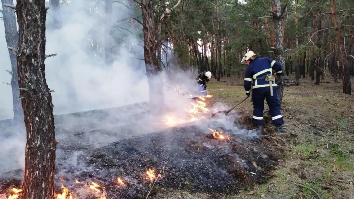 В Петропавловском районе спасатели потушили большой пожар в лесу