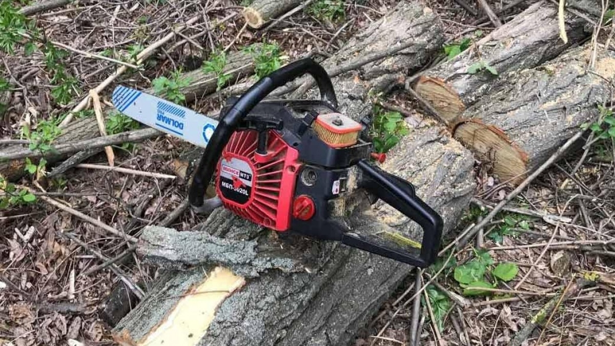 В Юрьевском районе полицейские задержали двух лесорубов-браконьеров