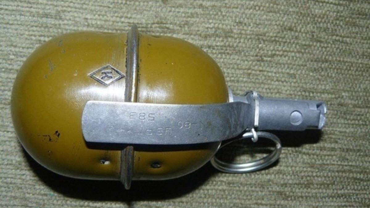 У жителя Павлоградского района полицейские изъяли 6 гранат