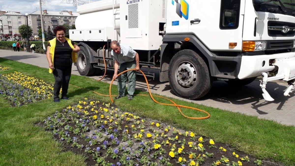 На клумбах Павлограда этой весной высадят 25 тысяч цветов