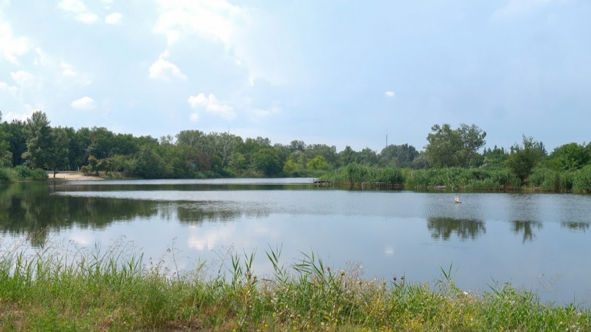 В 2018 году от укуса змей пострадало 14 человек