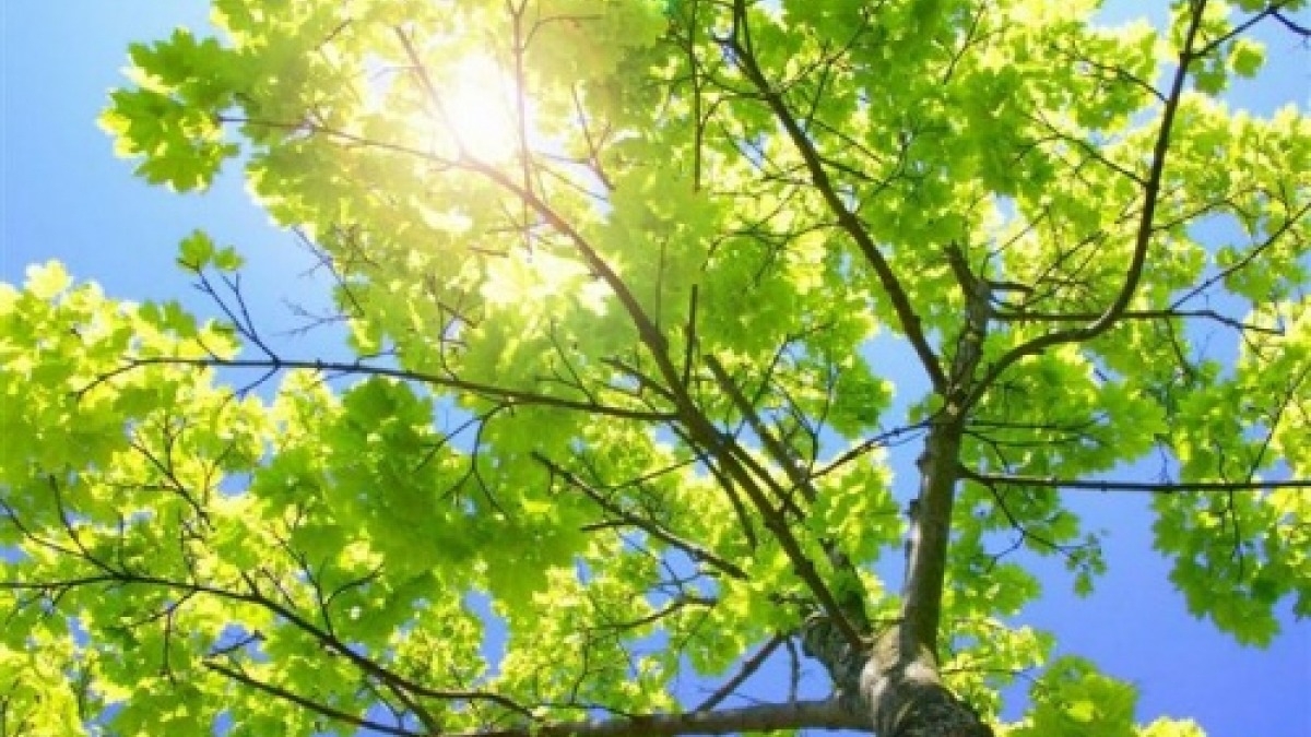 Выходные в Павлограде будут теплые и без осадков