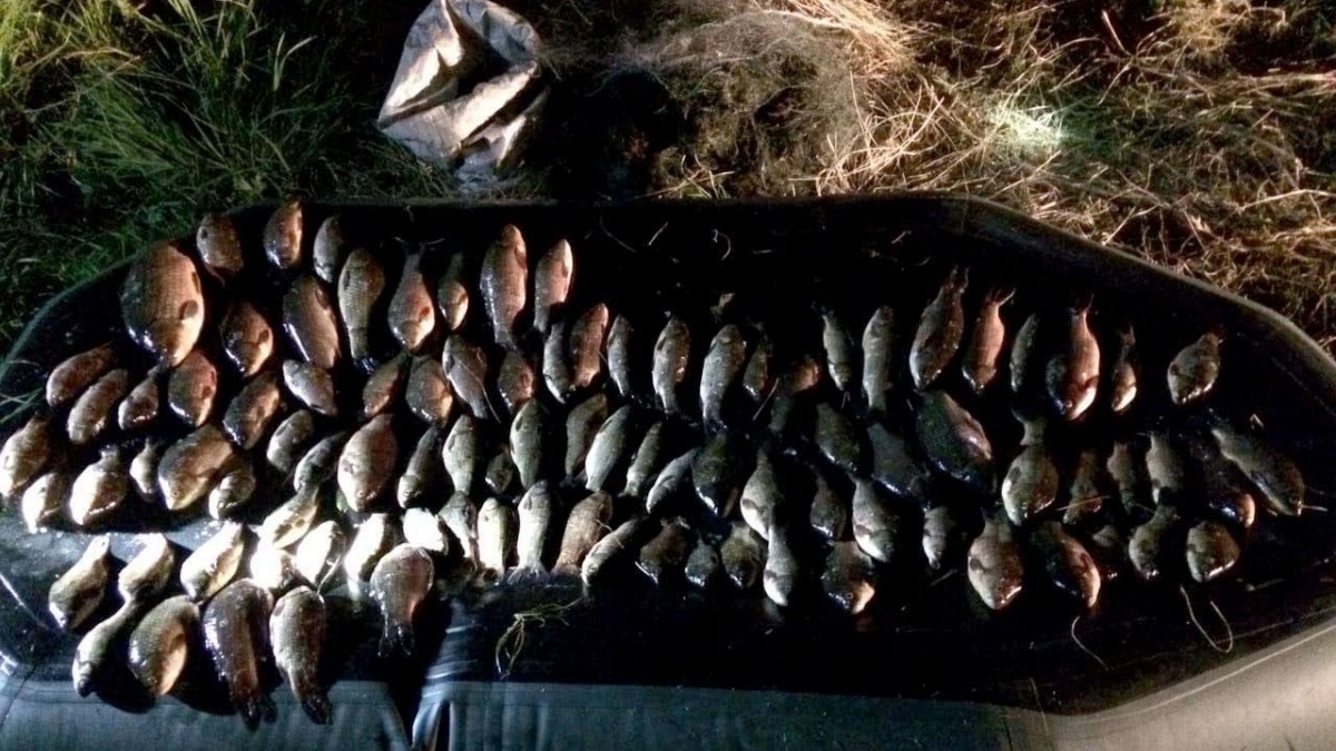 Петропавловские полицейские задержали браконьера с незаконным уловом