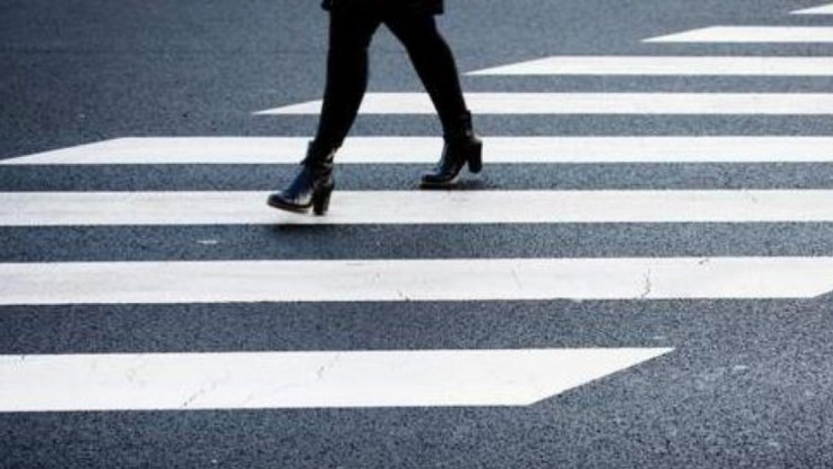 В Украине появятся «косые зебры»