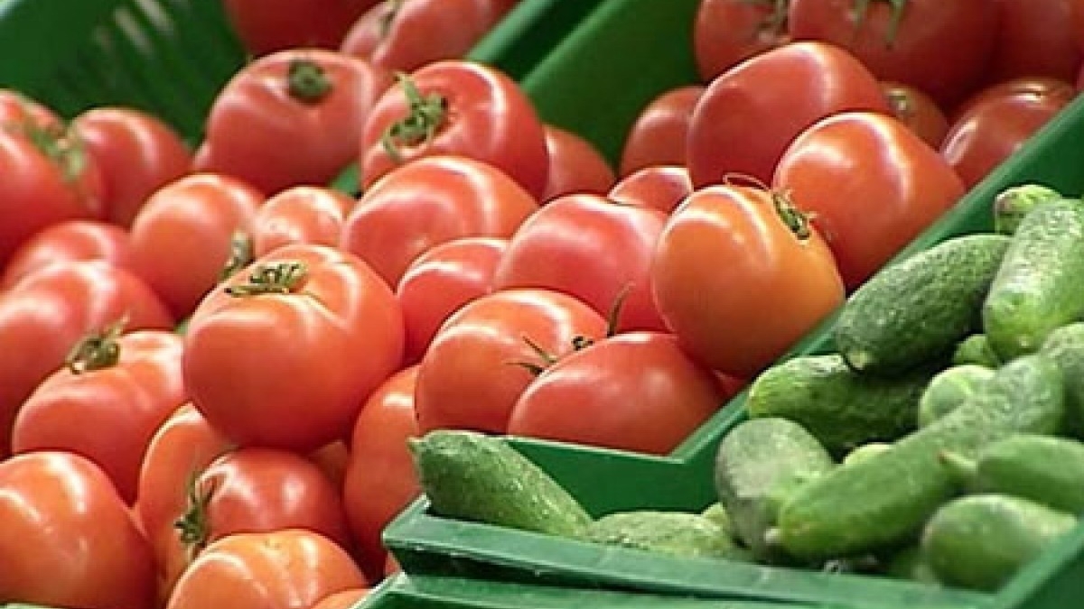 Украина импортировала 7 тыс. тонн огурцов и 55 тыс. тонн помидоров