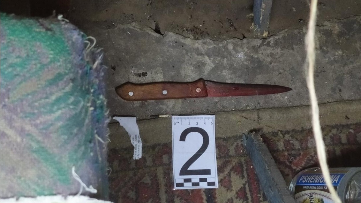 В Петропавловском районе убили пенсионера 15 ударами ножа