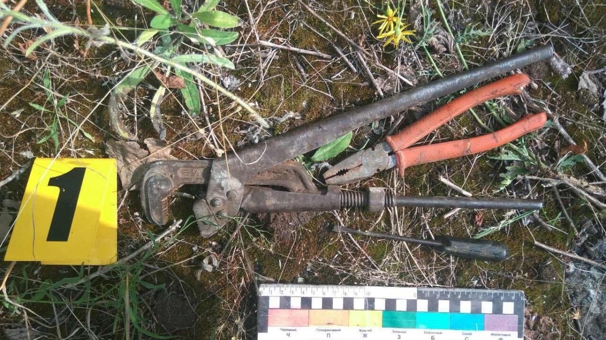 В Павлограде полиция задержала двух подозреваемых в краже с завода