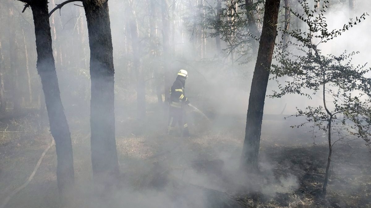 На Днепропетровщине в течение суток ликвидировано 16 пожаров в экосистемах