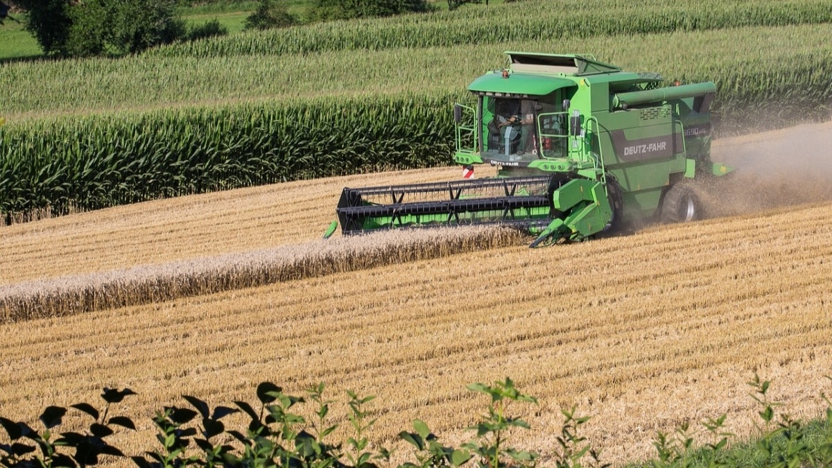 Аграрии Днепропетровщины завершили собирать ранние зерновые