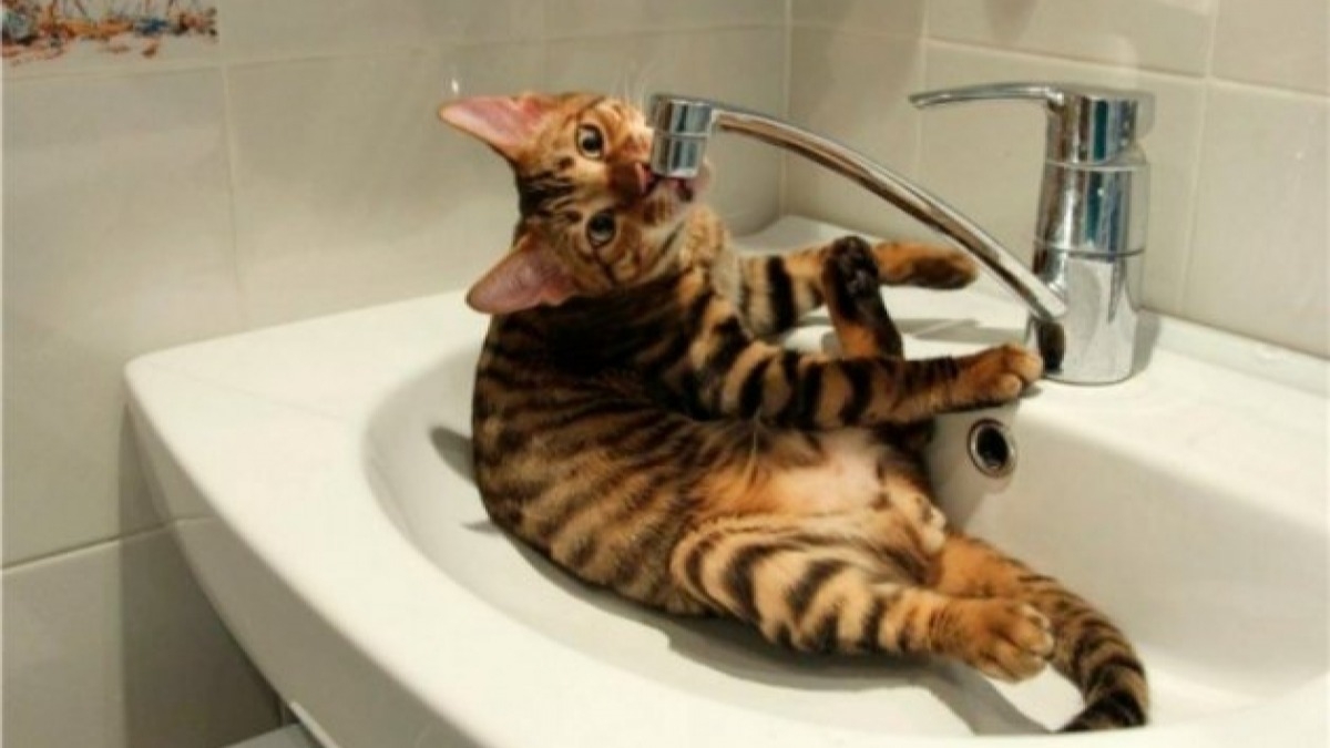 Уже через неделю Павлоград, Терновка, Першотравенск и Синельниково могут остаться без воды