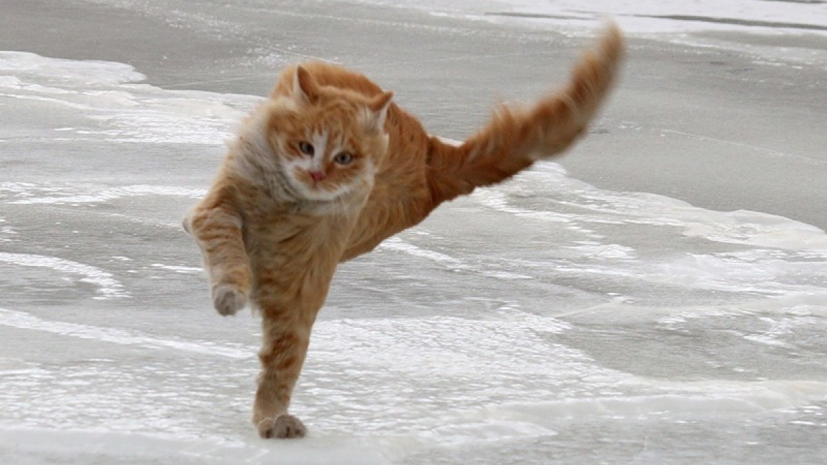 Украинцев в ближайшие дни ожидает ветреная погода