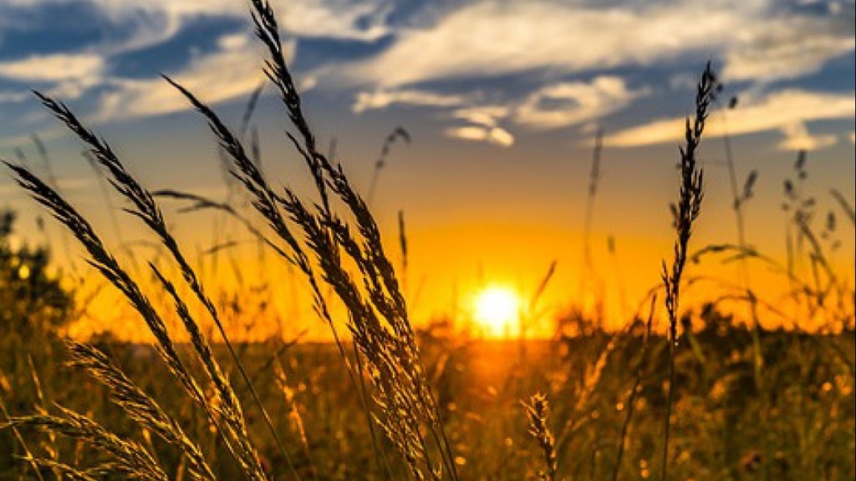 Синоптики рассказали какой будет погода на выходных