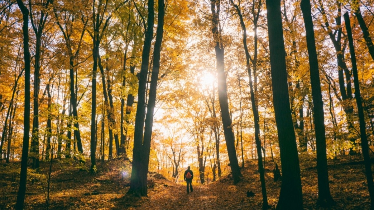 Снижение температуры в Украине ожидается уже с четверга