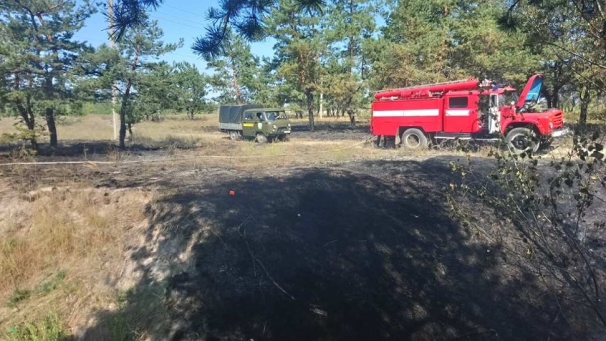 В области сохраняется наивысший 5 уровень пожарной опасности