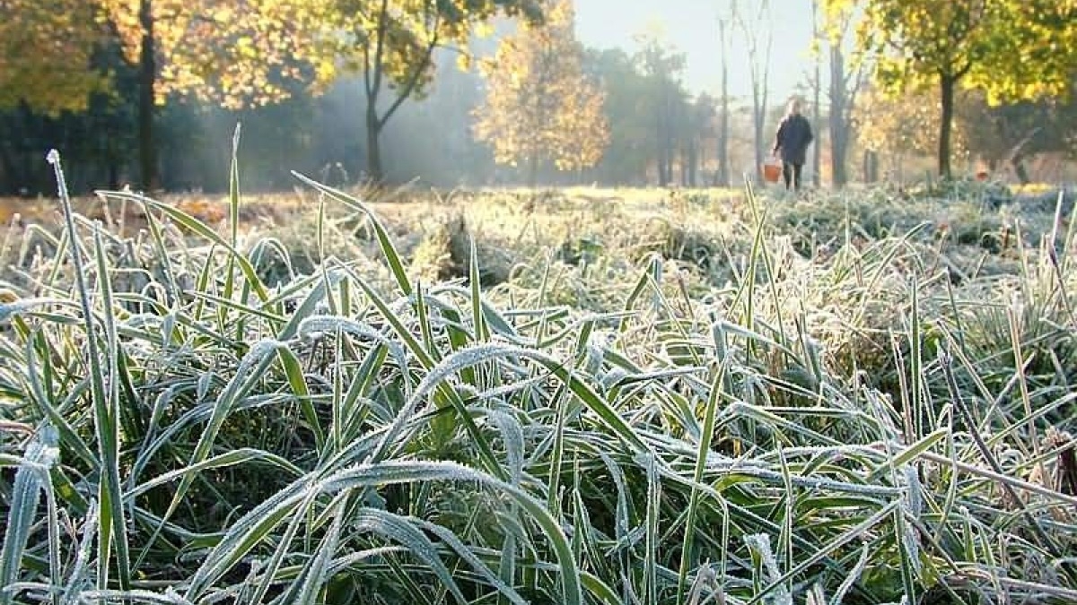 Синоптики сообщили о первых заморозках