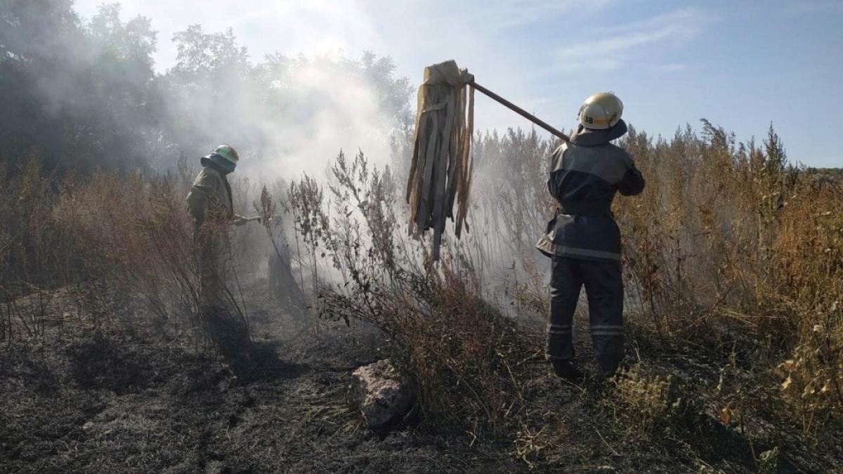 Только за минувшие сутки в области 49 раз горел сухостой