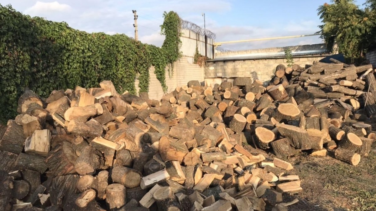 В Петропавловке полиция выявила 15 тон незаконно срубленной древесины