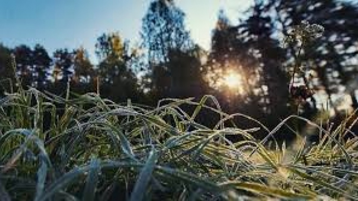 В Украину идет похолодание и заморозки