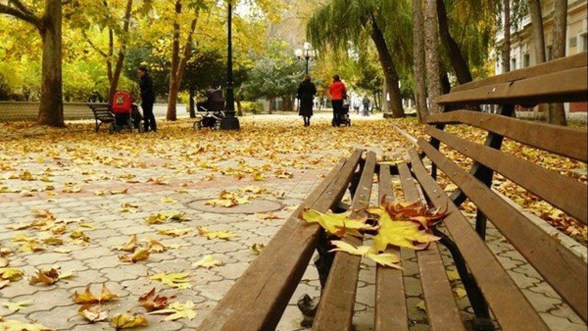 В области сохраняется 5 уровень пожарной опасности - погода на 3 дня