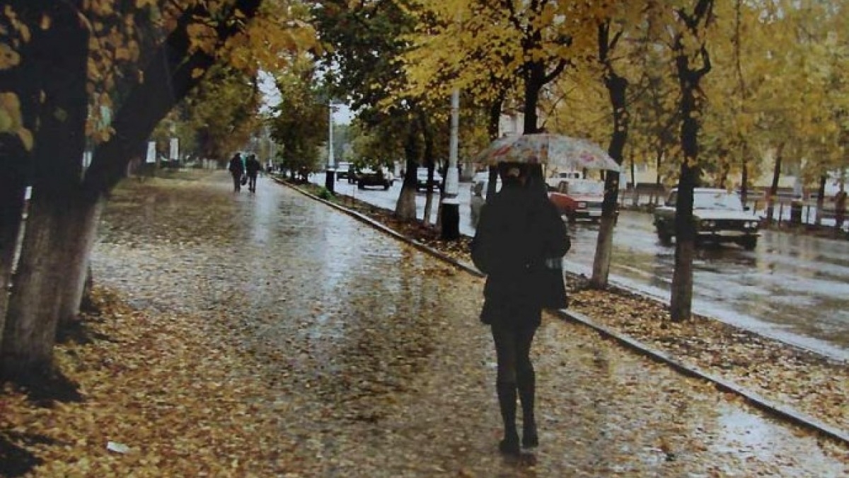 Сильный ветер и дождь - спасатели сообщили об опасности