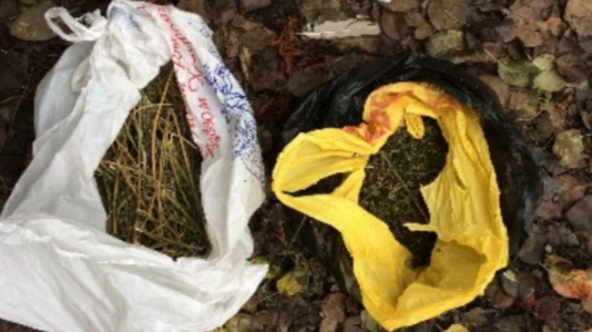 В Петропавловском районе у 22-летнего жителя изъяли 2 пакета с марихуаной