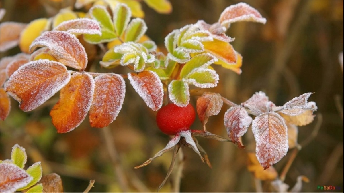 От заморозков к затяжным дождям - погода на неделю
