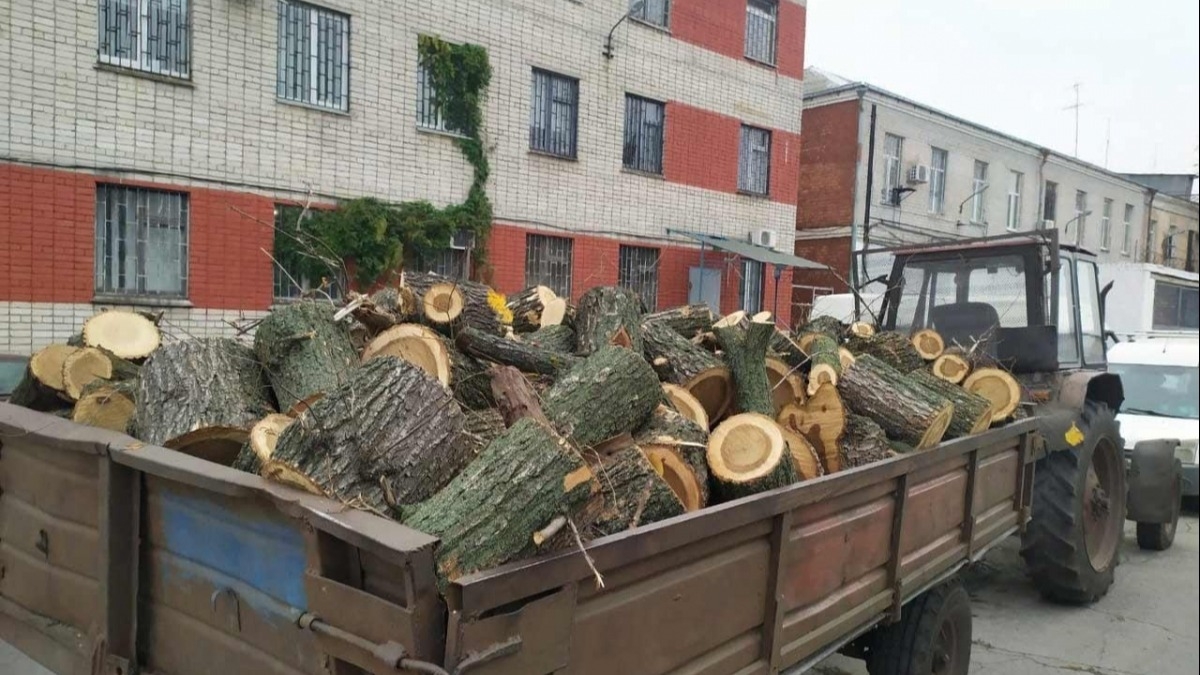 В Павлограде полицейские конфисковали трактор с порезанной древесиной