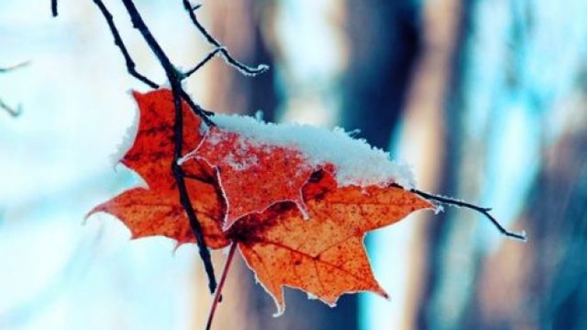 Зима будет теплой - синоптики