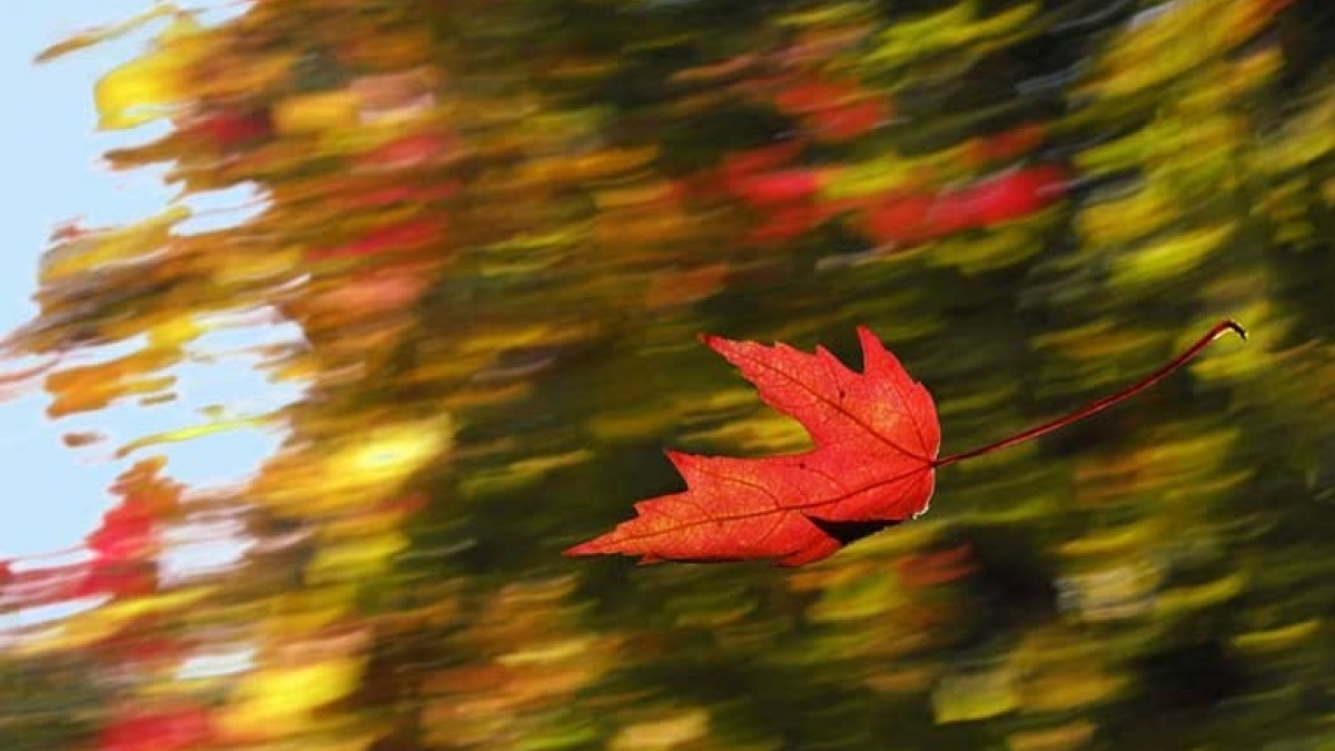 Дождь и ветер - погода на 3 дня