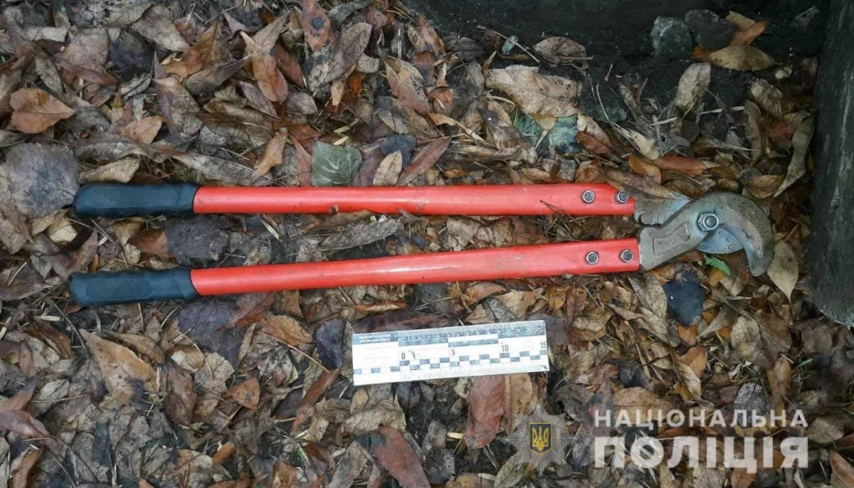 В Першотравенске задержали злоумышленников, причастных к кражам кабеля