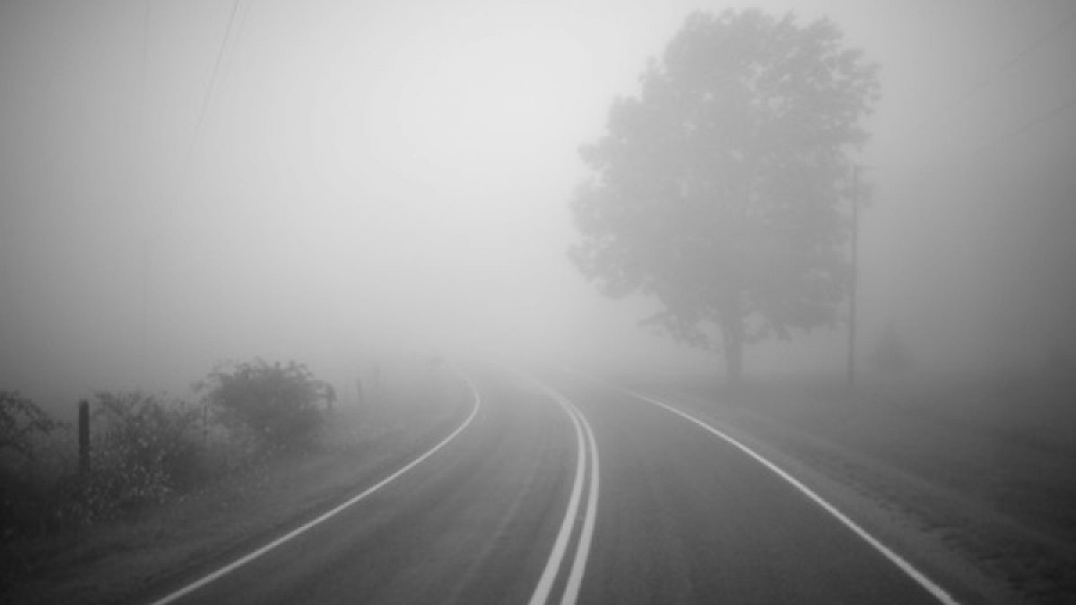 В область опять возвращаются туманы - синоптики