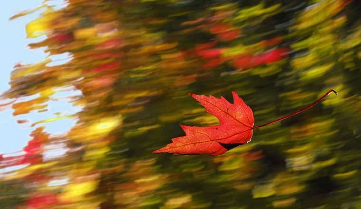 Дождь в начале недели и сухая погода к выходным - синоптики
