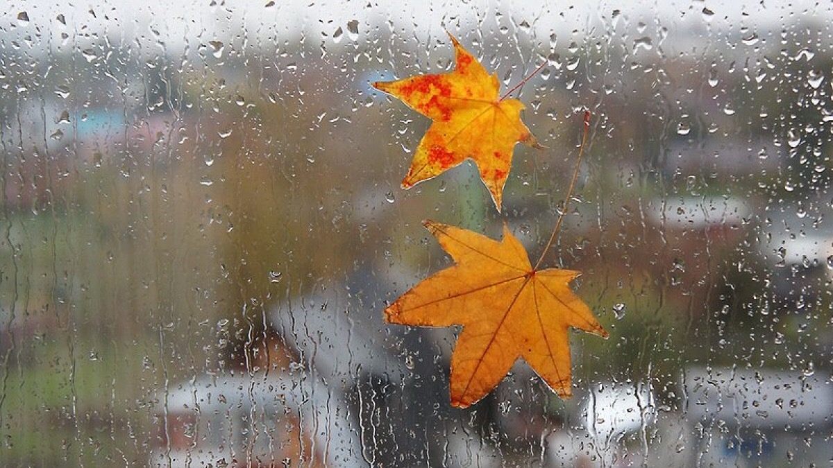 Потепление и дожди прогнозируют синоптики на ближайшие дни