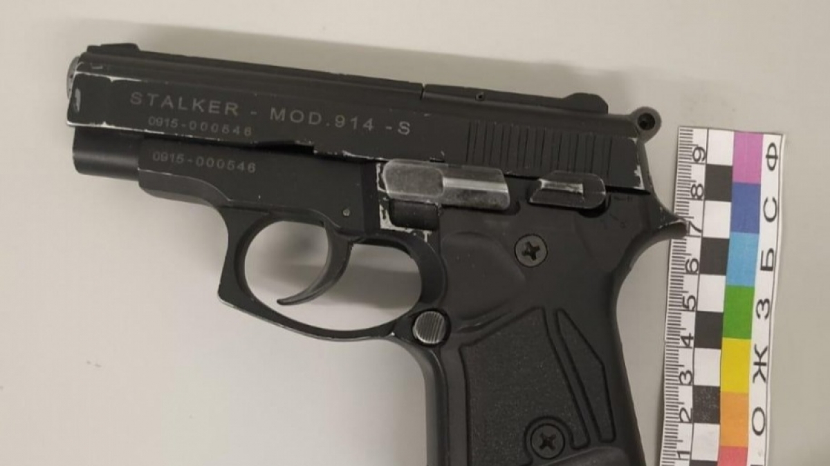 У жителя Павлограда изъяли пистолет и патроны