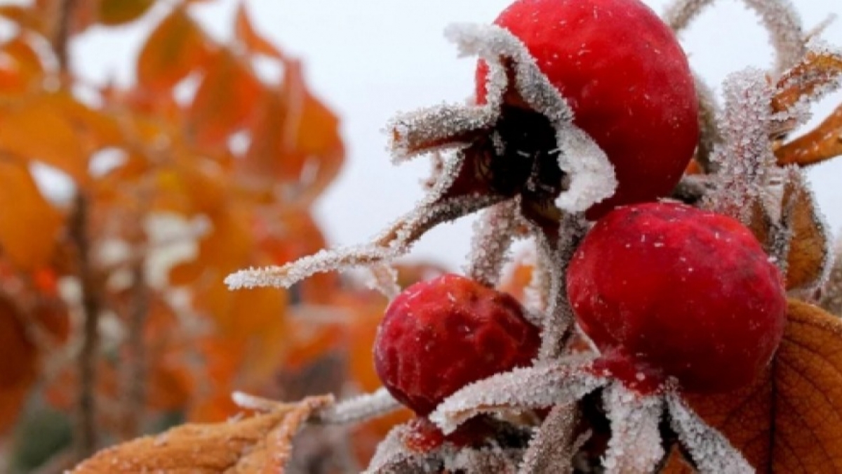 В Украину идет потепление до 15 градусов