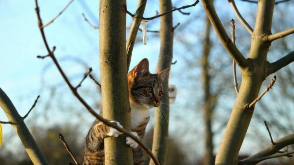 В Украину идет похолодание, но через пару дней опять потеплеет