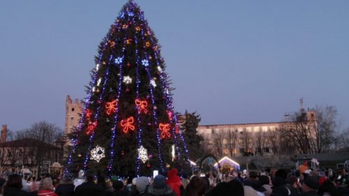 В Павлограде стартовали новогодние праздники открытием главной елки