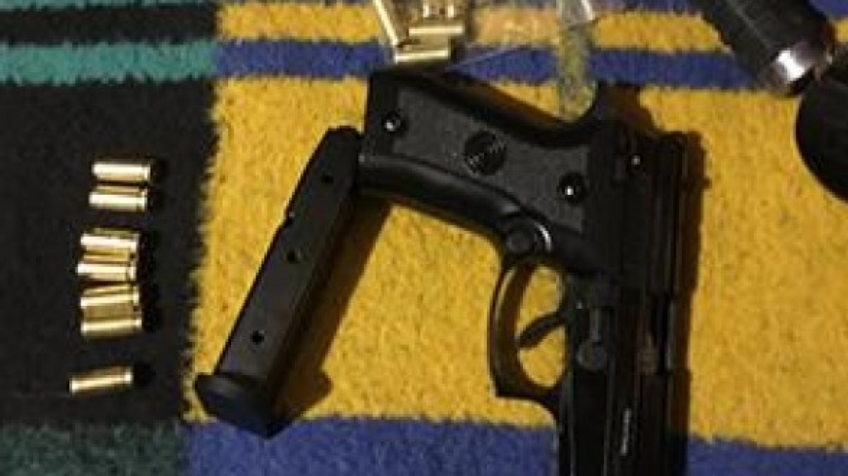 В Терновке во время обыска правоохранители изъяли пистолет и патроны