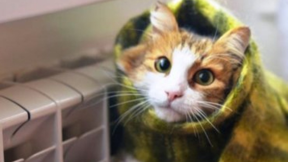 Кабмин принял решение, которое позволяет уменьшить сумму в платежке за тепло до 30