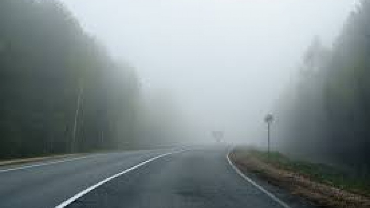 Синоптики предупреждают о сильном тумане