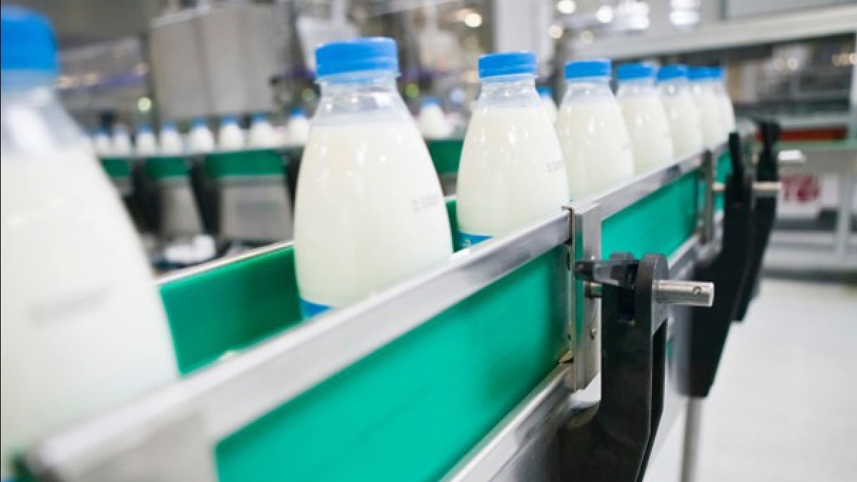 В 2019 году предприятия области изготовили больше сыра, молока и шоколада