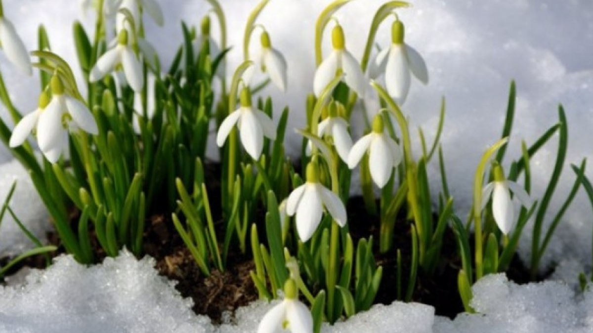 В Украине завтра потеплеет до 14 градусов