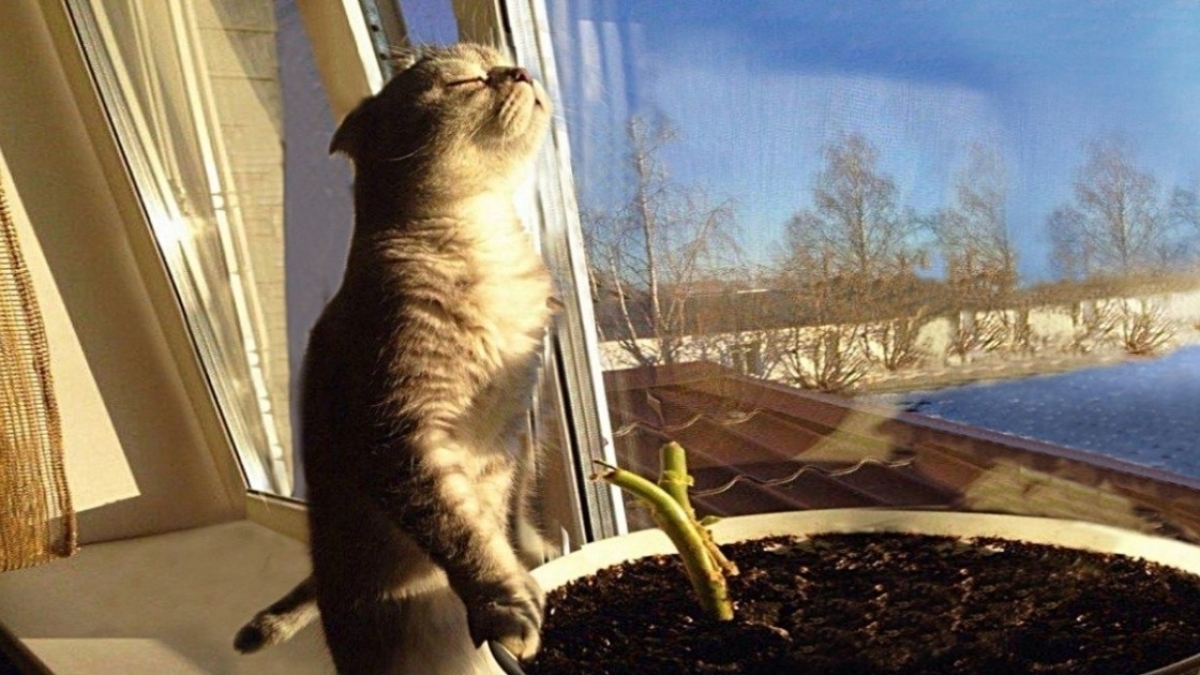 В пятницу в Украину придет настоящая весна