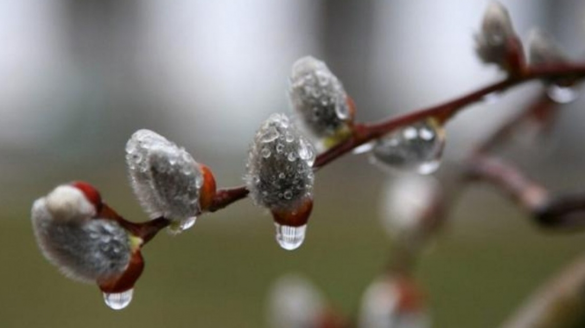 В Украину идут дожди