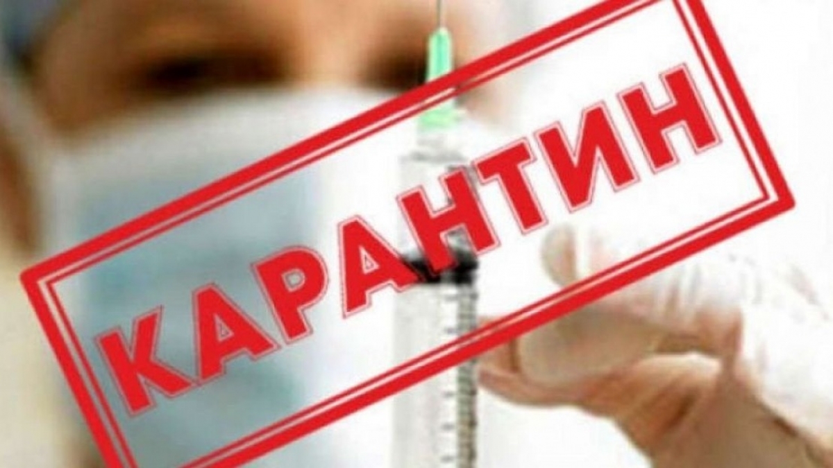 Всего на карантине 986 детсадов и 856 школ