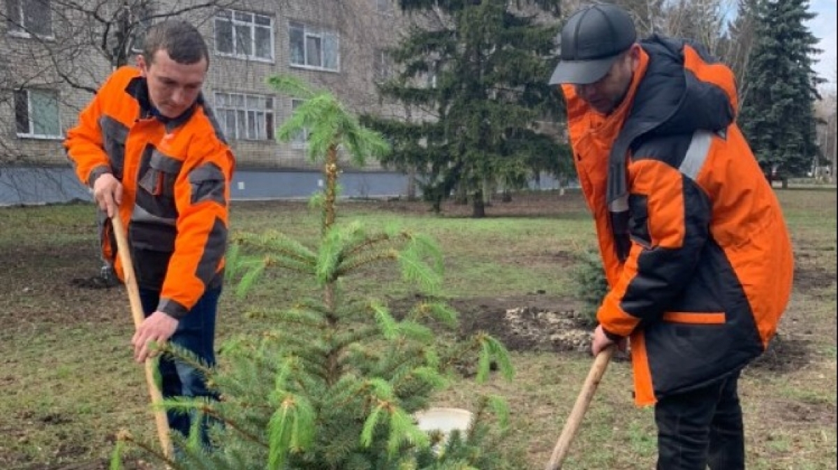 Газовики высадили елки в Магдалиновке